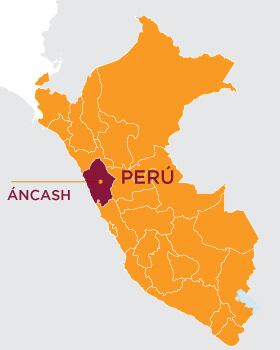 Education in times of pandemic